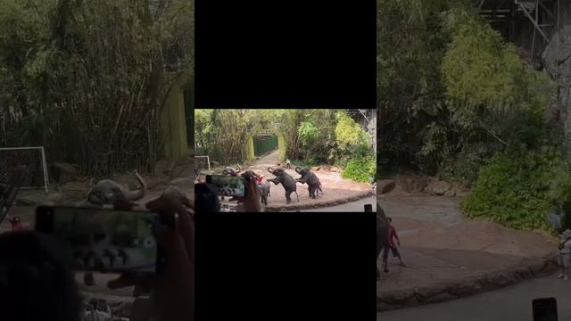 Marine Park Bangkok # Safari world Bangkok # Safari world # Bangkok смотреть онлайн