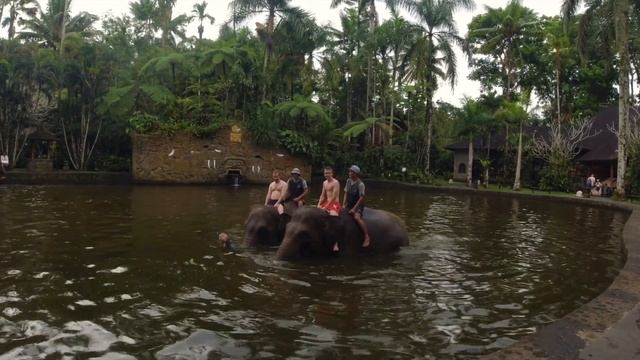 MASON ELEPHANT PARK- BALI смотреть онлайн