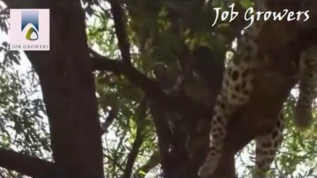 Job Growers 1892 смотреть онлайн