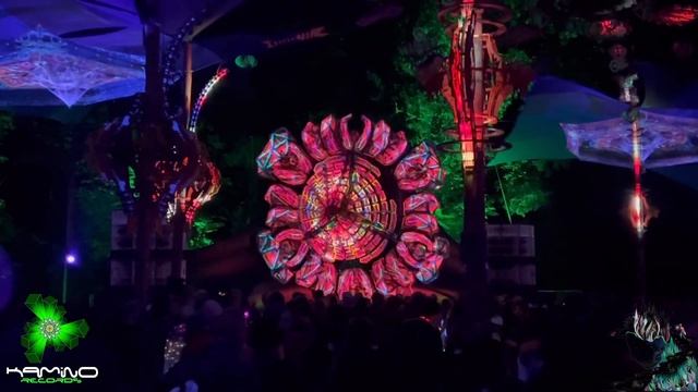 Recap of Kashyyyk's Stellar Performance at Space Safari Festival 2023 , Belgium 🇧🇪 смотреть онлайн