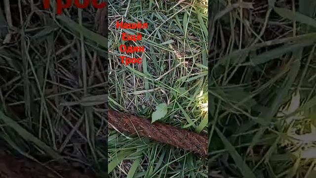 Рядом нашёл ещё один трос #КопМеталлавлесу #копметаллавлесу  #металлокоп