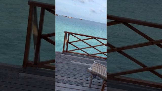 MALDIVES 🇲🇻 - WAKE UP IN HEAVEN! | SAFARI ISLAND - Water Villa | Mr. Enjoying Life смотреть онлайн