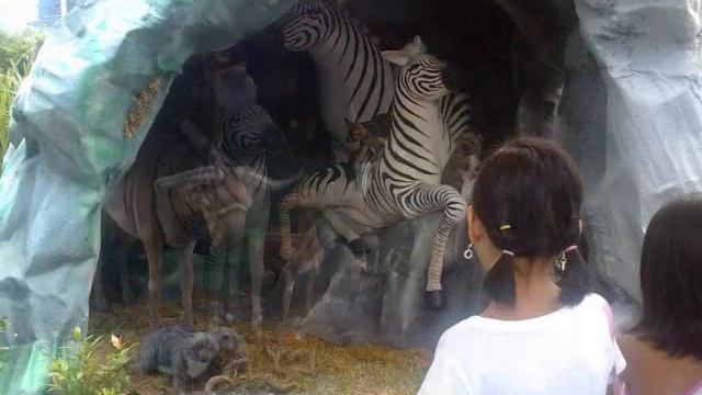 sky garden safari , SM NORTH смотреть онлайн
