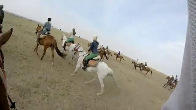 Safaris Unlimited, Walker family safari - Masai Mara 2016 смотреть онлайн