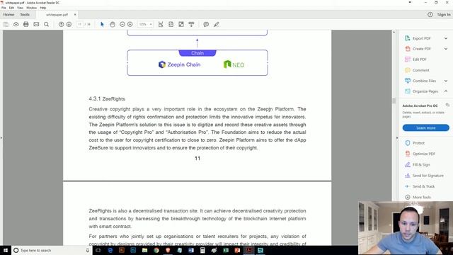 What is Zeepin? - A Cryptocurrency Review смотреть онлайн