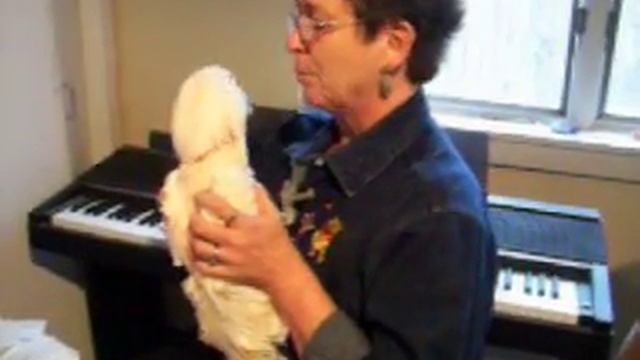 Paco imitating his mommy смотреть онлайн