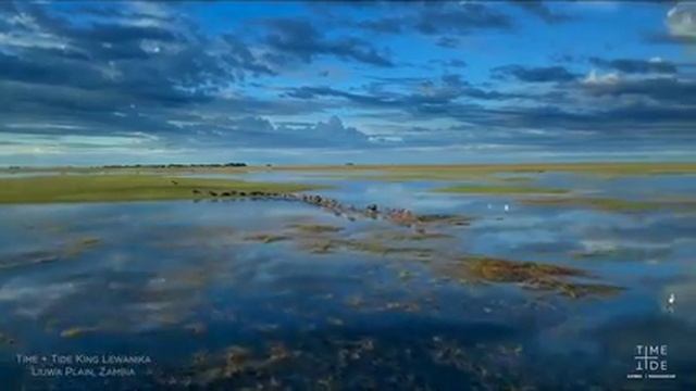 Time + Tide Zambia King Lewanika Liuwa Plain смотреть онлайн