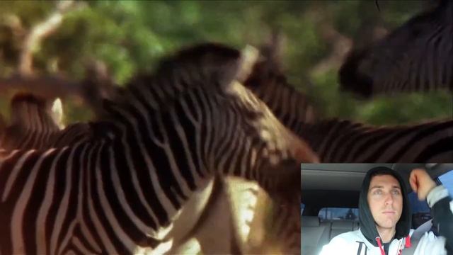 Full Day Of Eating 45: A Wild Abercrombie 90's Safari смотреть онлайн