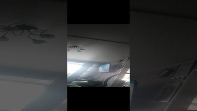 VID_20241026_125411.mp4