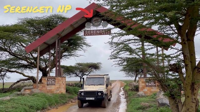Safari - Tanzania 2022 смотреть онлайн