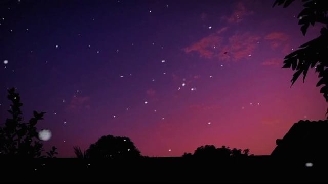 Serena - Safari||Showed and Reverb||Lofi Remix English Music||English song||Sleepy/Study/Alone/Rela смотреть онлайн