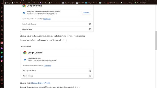 How To Update Chromedriver Tutorial смотреть онлайн