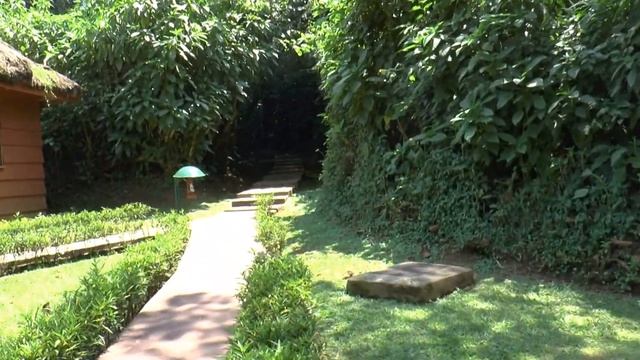 Uganda - Sanctuary Gorilla Forest Camp at Bwindi Impenetrable Forest #1 - 29 August 2016 смотреть онлайн