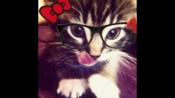 • 5mewmet — очередная малолетко •