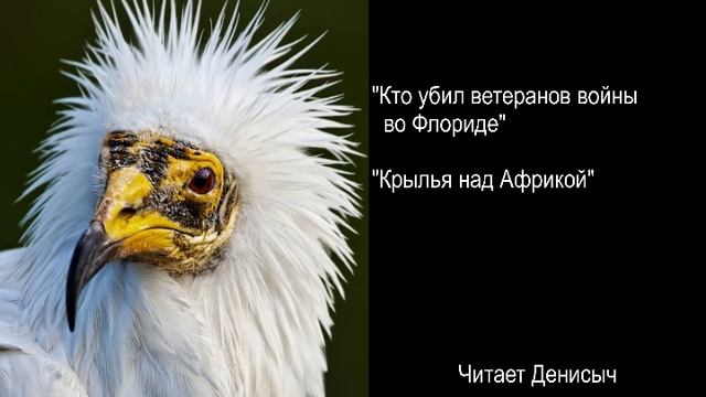 Э. Хемингуэй Рассказы смотреть онлайн