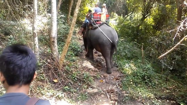 ☆Elephant Ride☆ смотреть онлайн