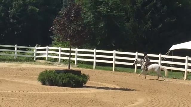 Alexis and Stoneledge Firefox children's pony 7/18/15 смотреть онлайн