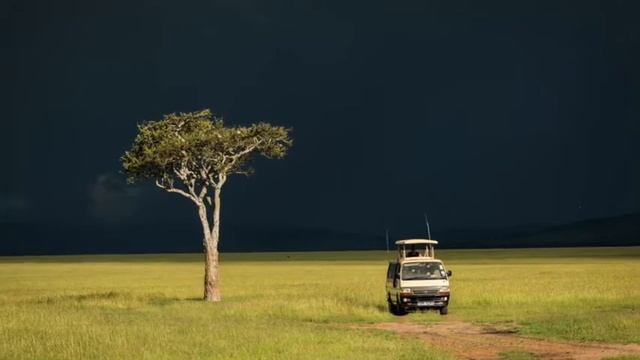 SAFARI DIARY EPISODE 4, LEOPARDS AND LIONS смотреть онлайн