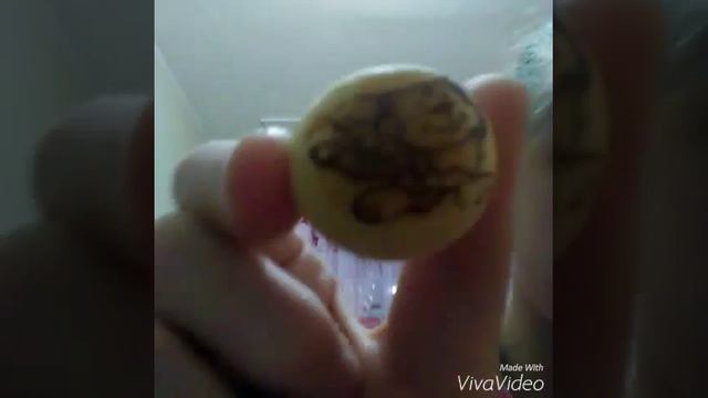 Грибы choco сафари Boy смотреть онлайн