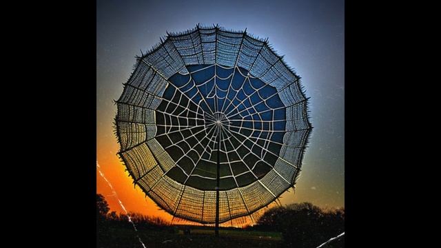 Web of Lies! смотреть онлайн