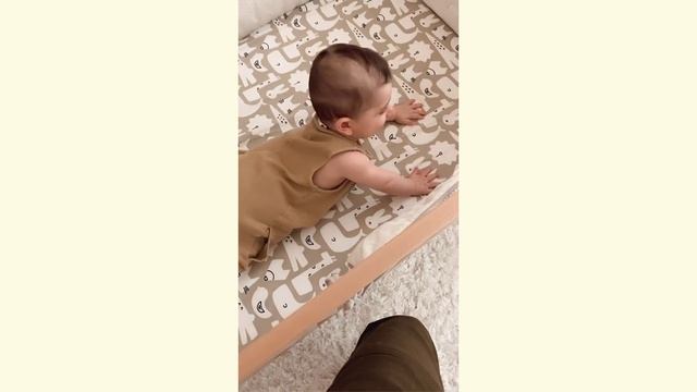Half Way To 1 Baby Birthday Prep | Easy DIY Safari Themed Party смотреть онлайн
