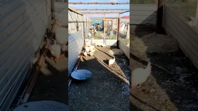 Солнечные ванны смотреть онлайн