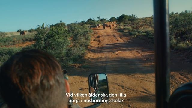 South African Tourism| Lekker Local Tips смотреть онлайн