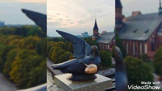 25 октября 2024 в Рыбной деревне и на острове Канта смотреть онлайн