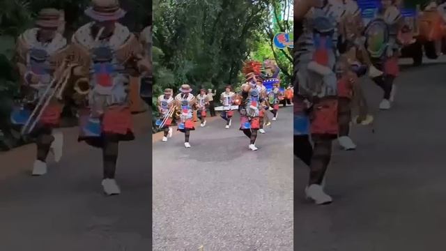 mini video . Chimelong safari park... смотреть онлайн