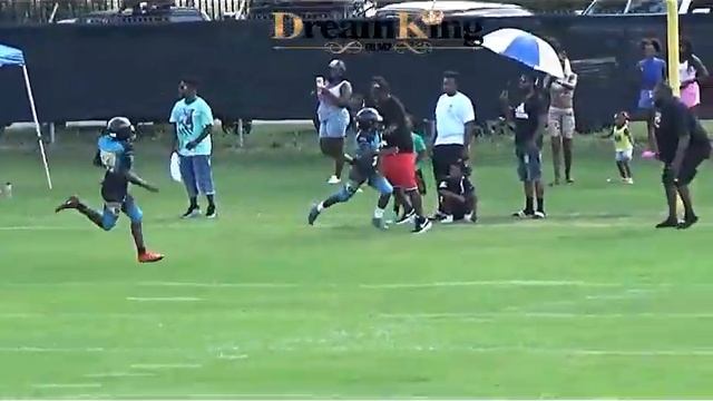 TJ Williamson TD run vs Carolina Chrome смотреть онлайн