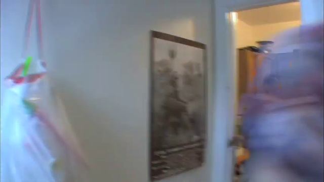 Roommate Safari смотреть онлайн