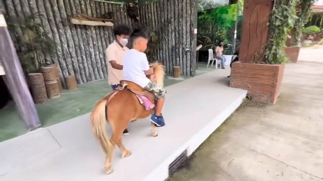 CLARK SAFARI AND ADVENTURE PARK - 🐴 Horseback Riding ✅ смотреть онлайн