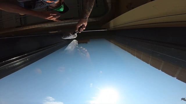 HOW TO MAKE $500 A DAY WINDOW CLEANING смотреть онлайн