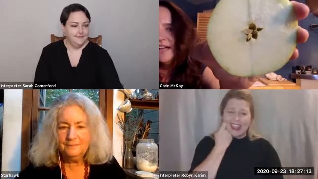 Politics & Apple Pie w/ ASL* | Free Webinar featuring ASL Interpretation смотреть онлайн