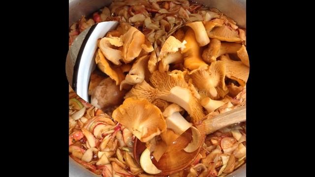 любимая еда