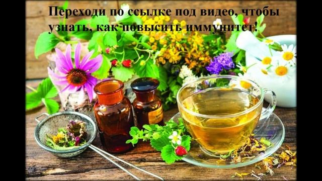 травы для повышения иммунитета у женщин смотреть онлайн