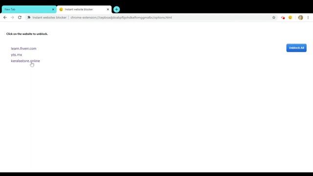 Instant Website blocker for chrome browser смотреть онлайн