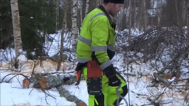 Lynxin parireki täysi ja tärkeät terveiset.. смотреть онлайн