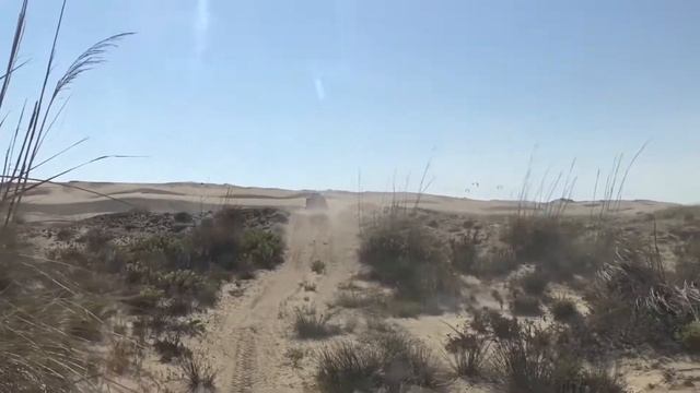 Russian Wave safari trip 2017 смотреть онлайн