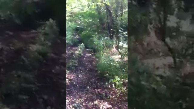 Нива сафари 540 скользкий холм 2014 смотреть онлайн