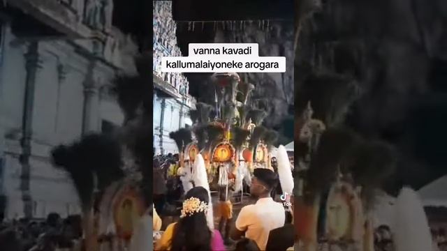 vanna kavadi part 4 ipoh thipusam 2024/1/25 смотреть онлайн