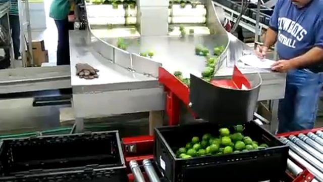 Проверка Веса Для Продуктов Питания в Движении смотреть онлайн