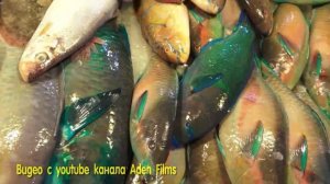 Рыба и морепродукты в детском рационе.