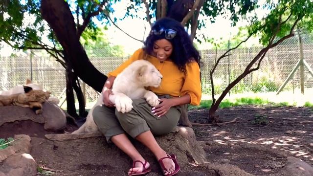 SA SAFARI VLOG! смотреть онлайн