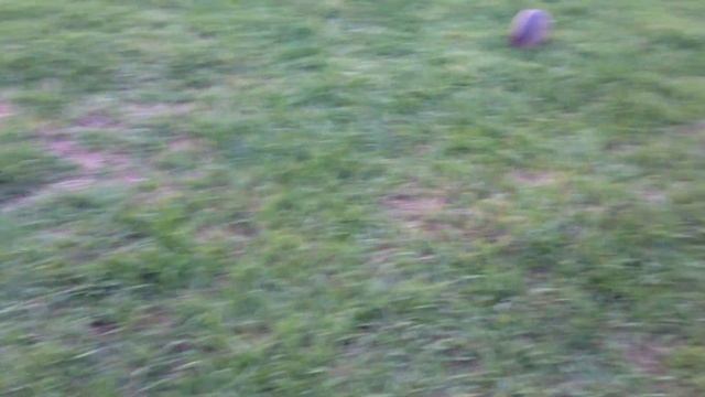 Basil the Brave Armadillo Hunter смотреть онлайн