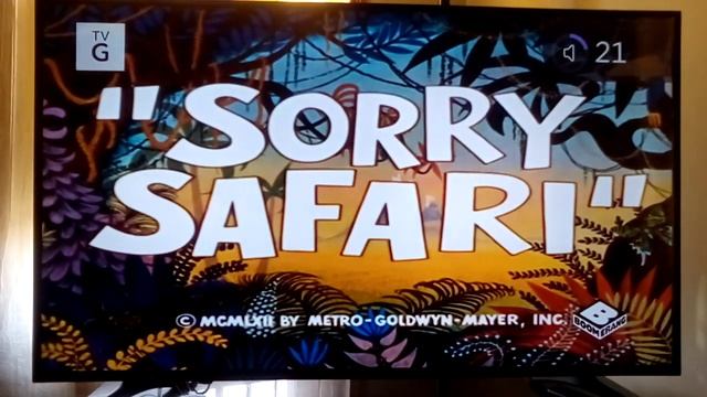 This Is The Intro Of Sorry, Safari, Jungle Travel смотреть онлайн
