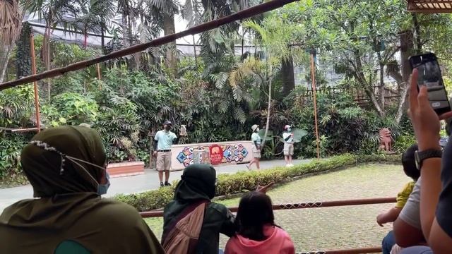 Hotel Royal Safari bogor Garden \ Hotel Berfasilitas Tempat bermain cocok Untuk Membawa anak anak смотреть онлайн