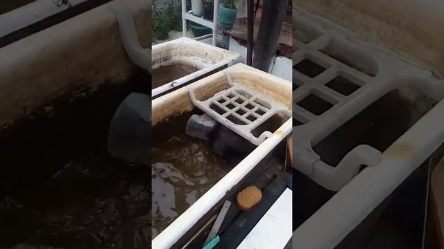 Милана принимает солнечные ванны смотреть онлайн