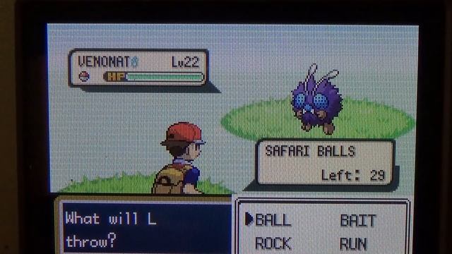 369 - Safari Week - LIVE! Shiny Venonat after 11,225 REs! Win or Fail? смотреть онлайн