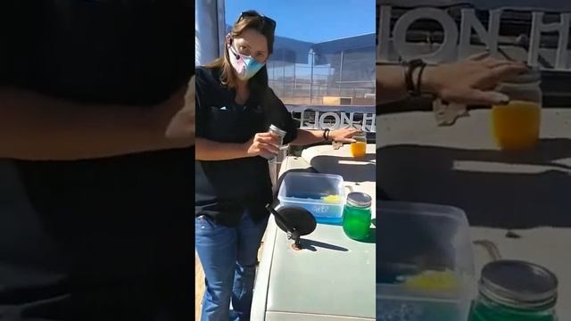 Steaming Safari: Egg Spectacular Part 2 смотреть онлайн